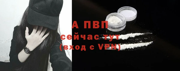 ПСИЛОЦИБИНОВЫЕ ГРИБЫ Волосово
