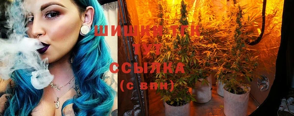 ПСИЛОЦИБИНОВЫЕ ГРИБЫ Волосово
